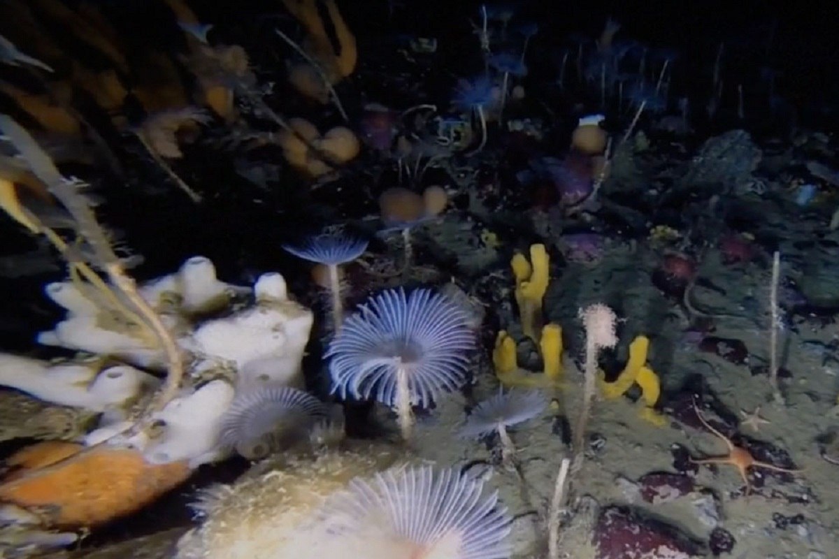    Фото: GoDaddy.com, LLC, источник: uncrate.com