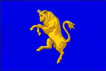 Флаг коммуны Турин. Источник: итальянский центр вексиллологических исследований.