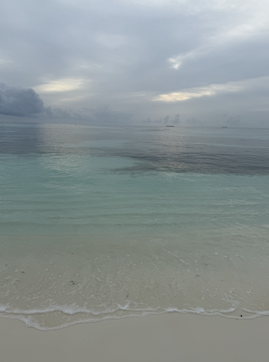 Sandy, pristine beach 
