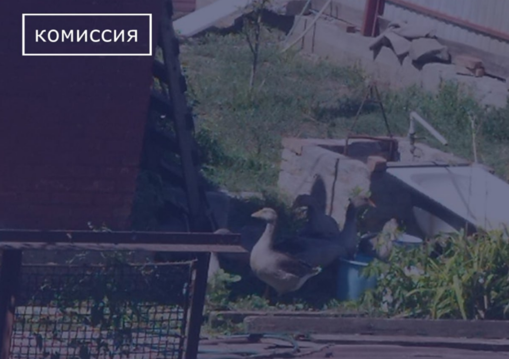    фото: администрация Новошахтинска Редактор