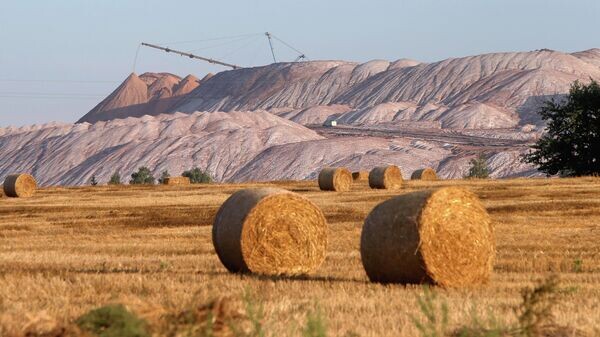    © Sputnik / Егор Еремов