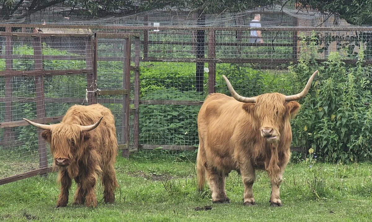     © Интерфакс. Олег Санников