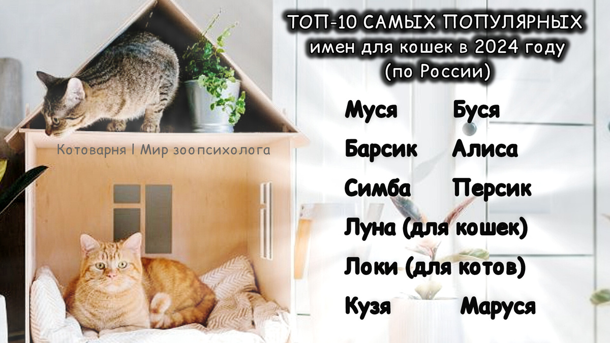 Эти имена в топе "любимых" у россиян уже много лет! 