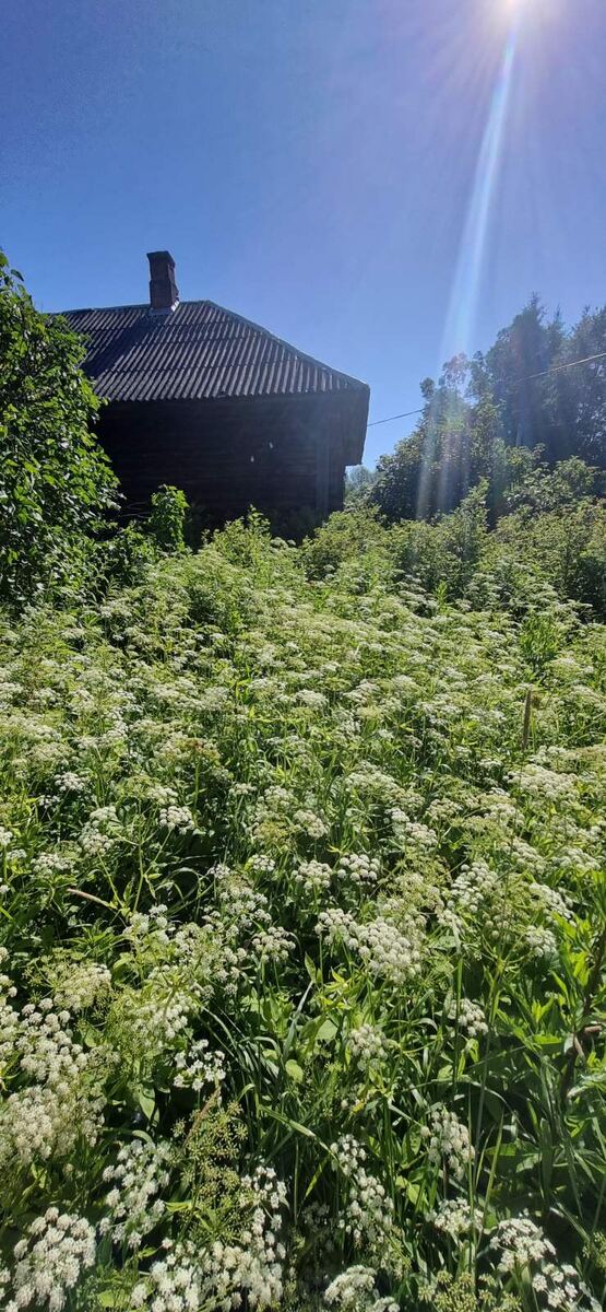 Фото из архива автора 