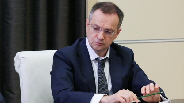    © Sputnik / Гавриил Григоров / POOL