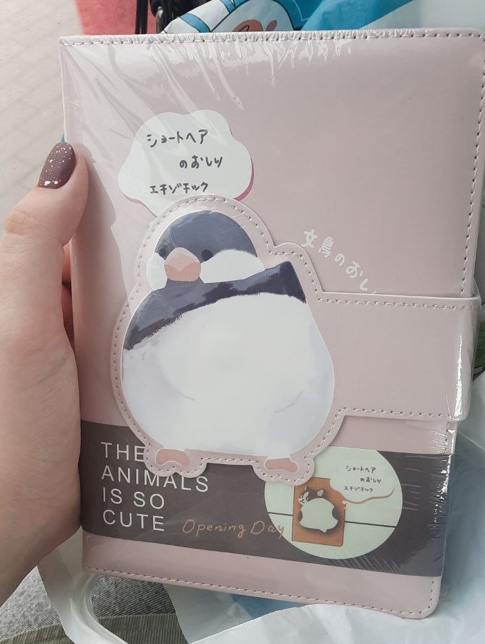 Попка пингвинчика обязана стоять на моей полке