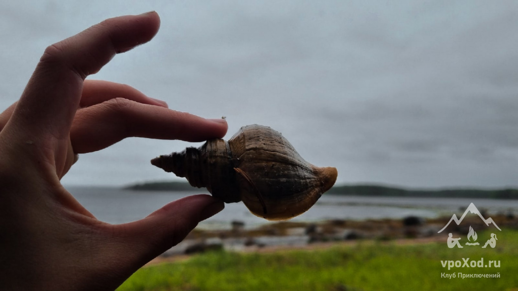 Автор фото: Анна Васильева