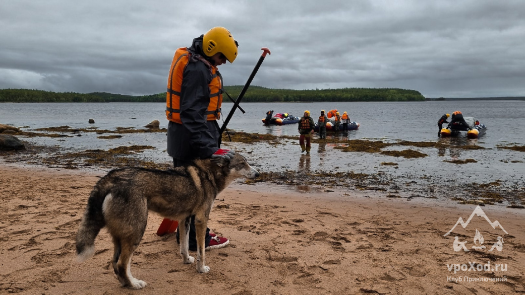 Автор фото: Анна Васильева