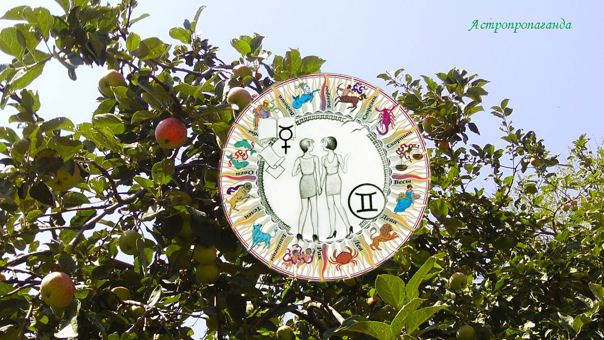 Гороскоп для Близнецов с 4 по 31 августа 2025.