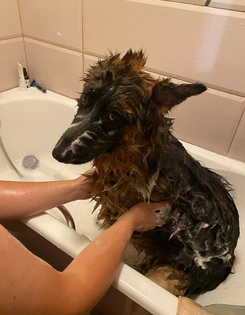 Локи принимает домашнюю ванну