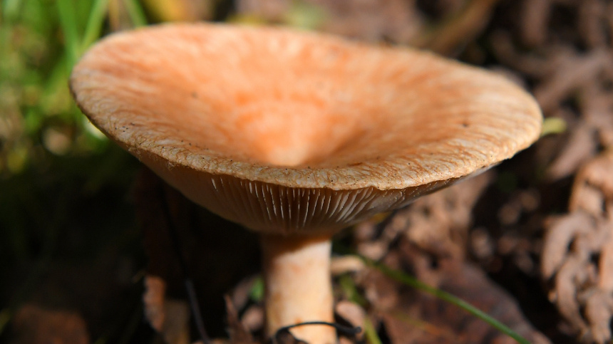    Фото: © РИА Новости/Илья Наймушин