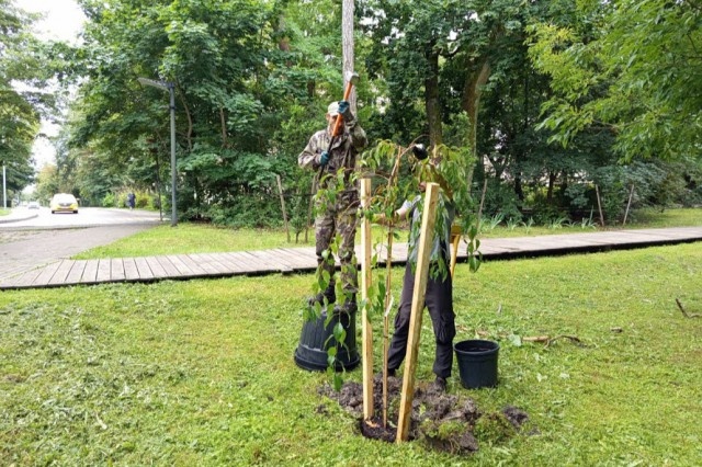   Фото: администрация Зеленоградского округа