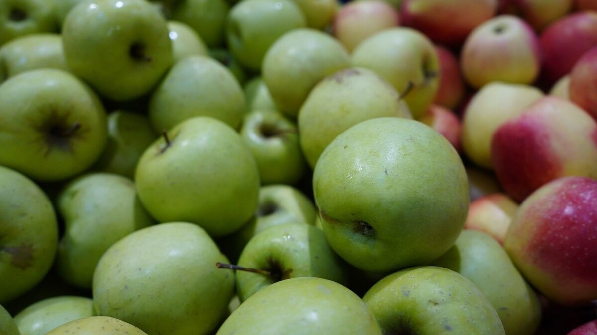    Фото: телеканал «Краснодар»