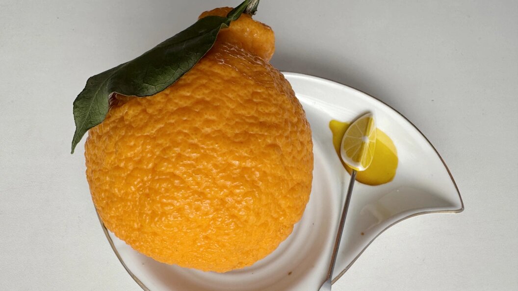    Фото: Alexander Legky/Global Look Press