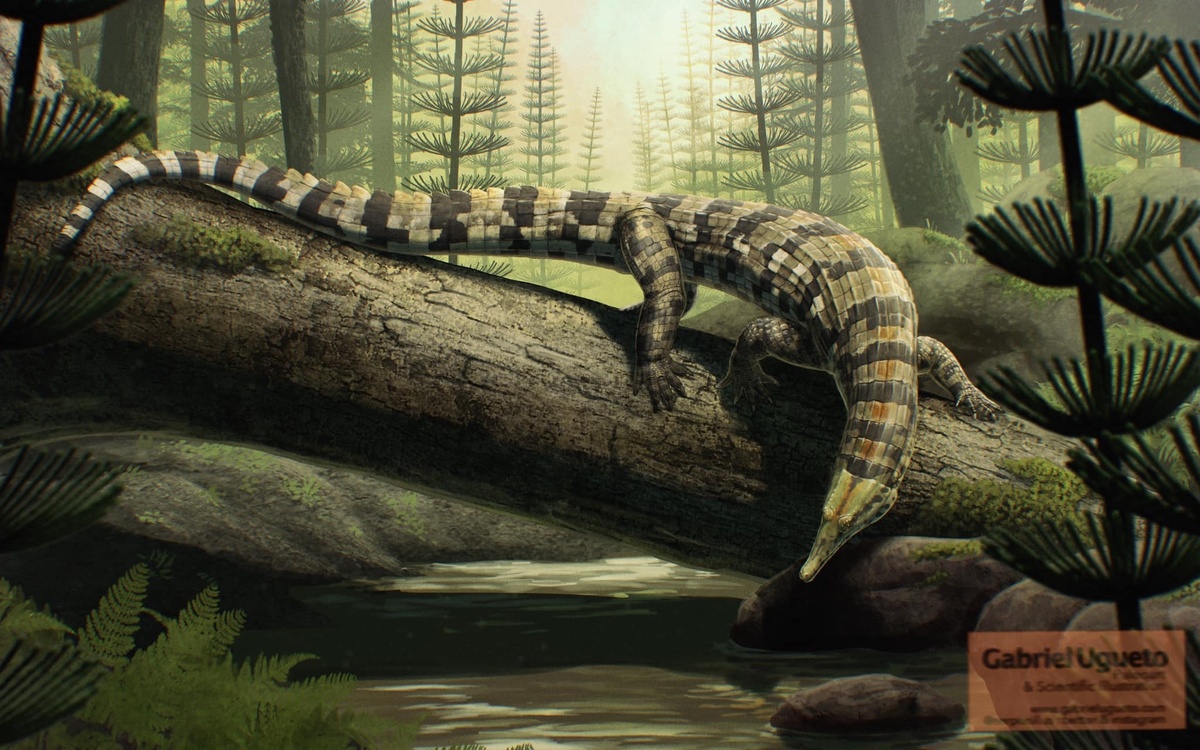 Досвеллия от Габриэля Угуэто.