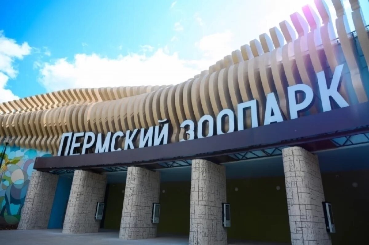    Стала известна стоимость билетов в Пермский зоопарк