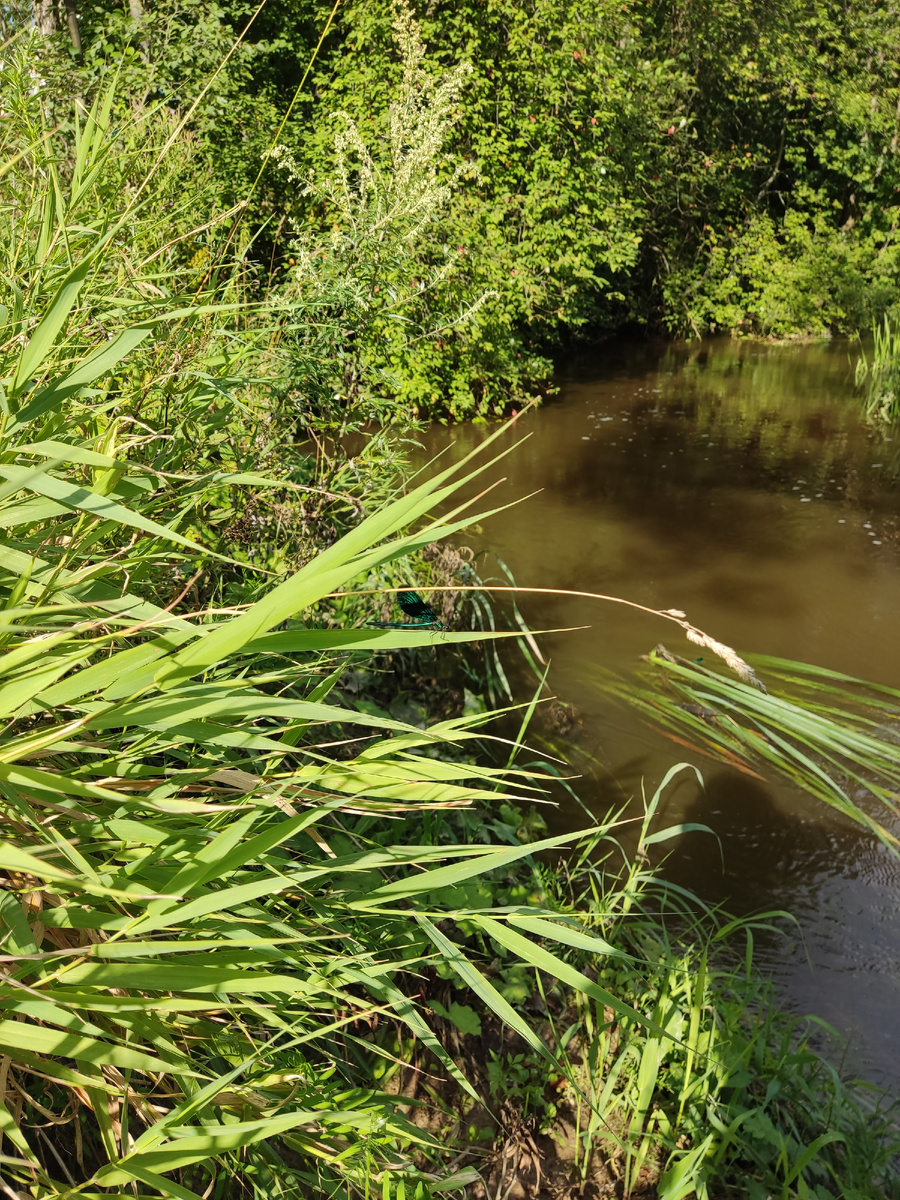 Фото автора.