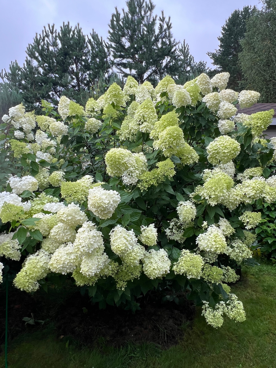 Сразу после, вернее в перерыв между ливнями