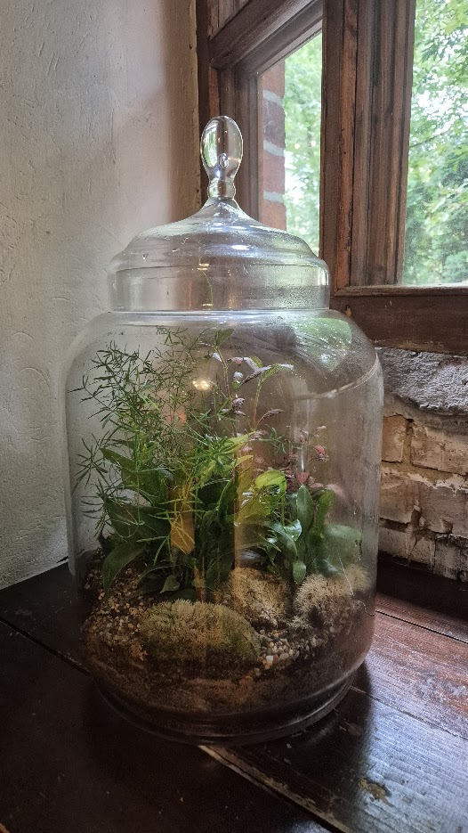 Фото из усадьбы Роден в Москве