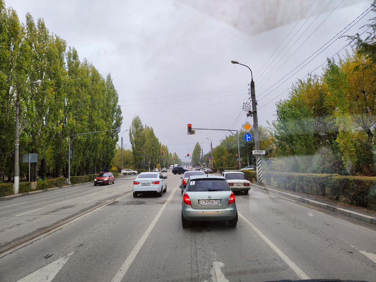 Волжский прям лапочка.