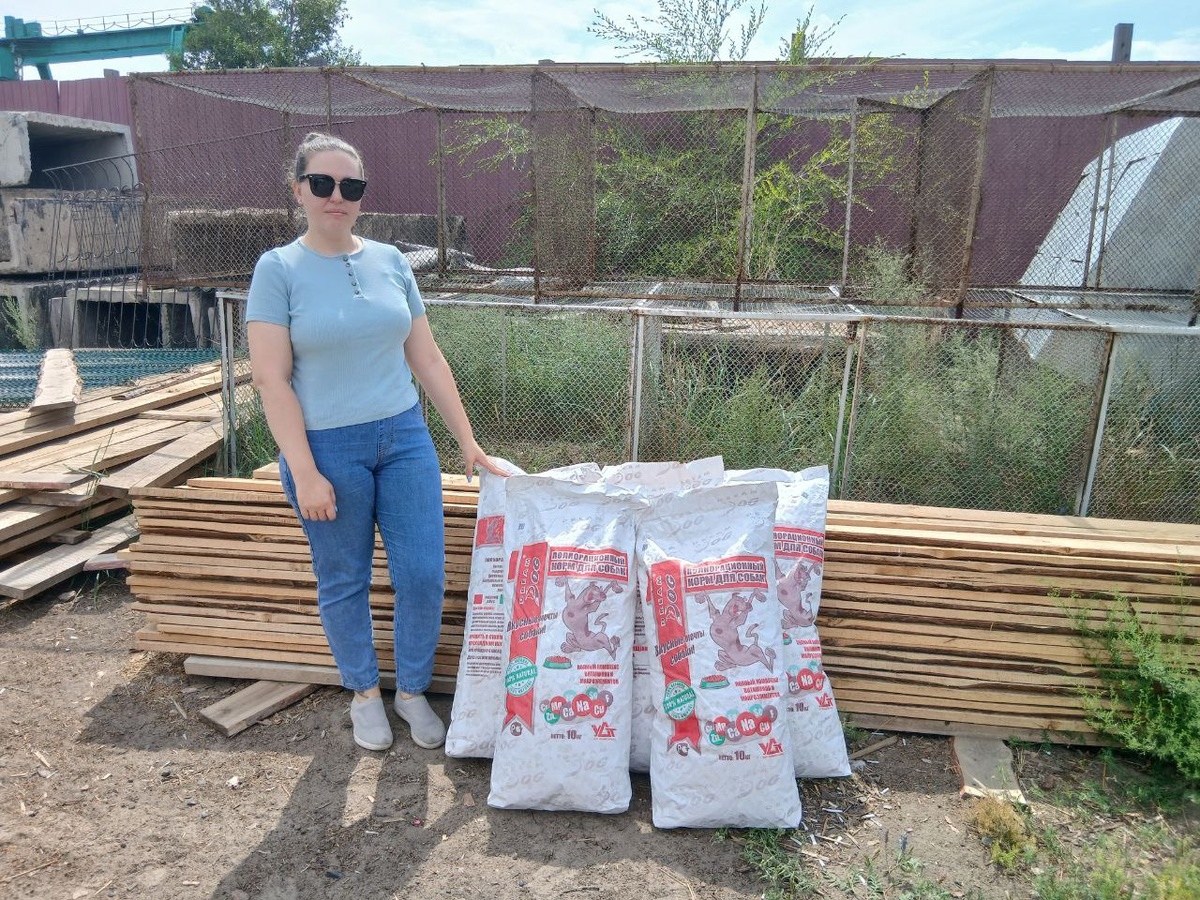 Помощь от жителей г.Улан-Удэ. Этот корм  от Нины и её сыновей.