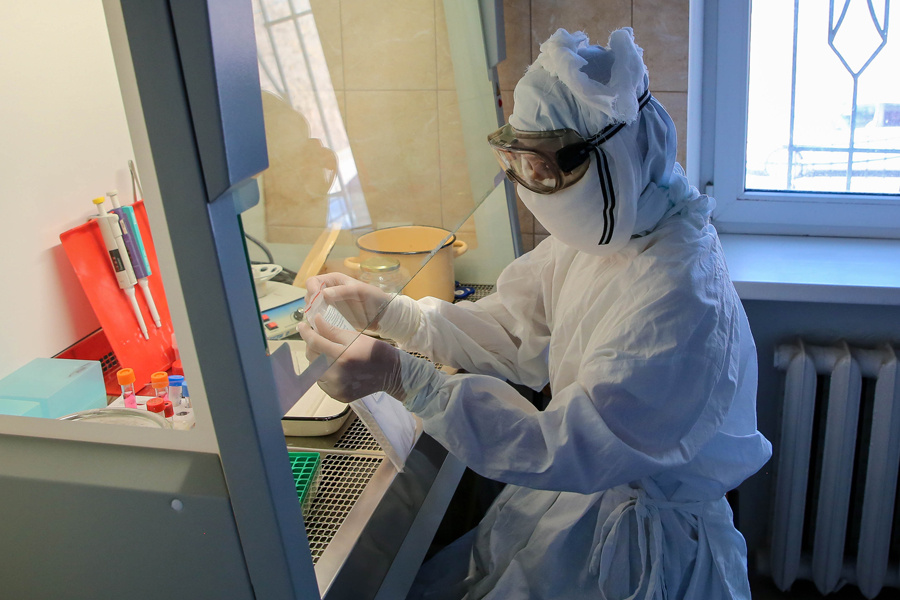    © Александр Погожев/ТАСС