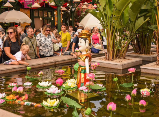 Фото: Яндекс картинки