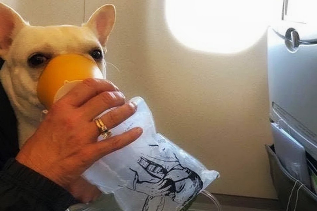 Это не дискриминация. Это — опыт. И, к сожалению, печальный опыт.
