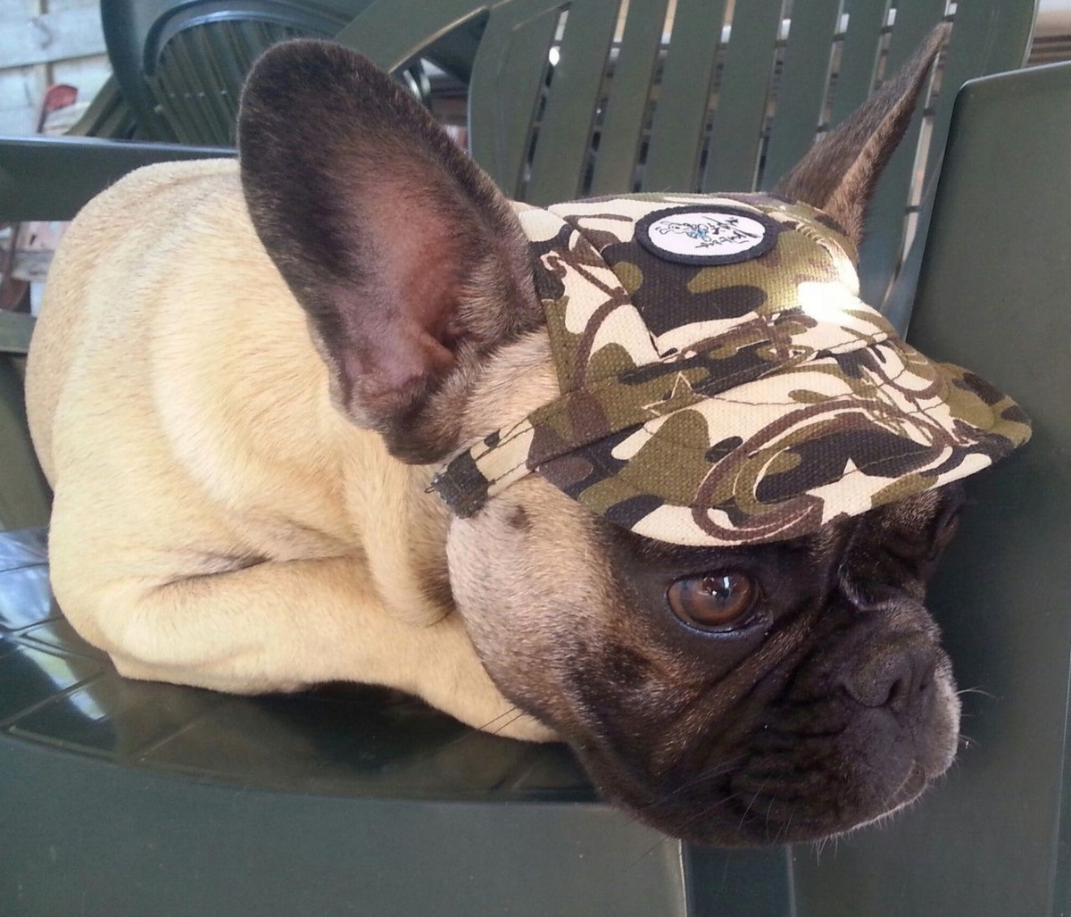 Разберёмся по порядку. И, как всегда, не по учебнику, а по-человечески, с примерами, опытом и живыми историями.
