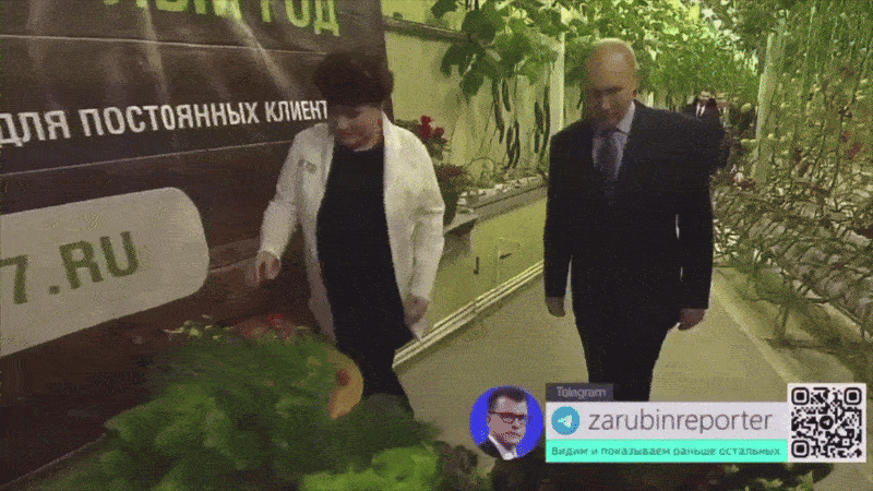 У нас и своих помидоров хватает, растут даже на Чукотке. Видео: ТГ-канал Zarubin