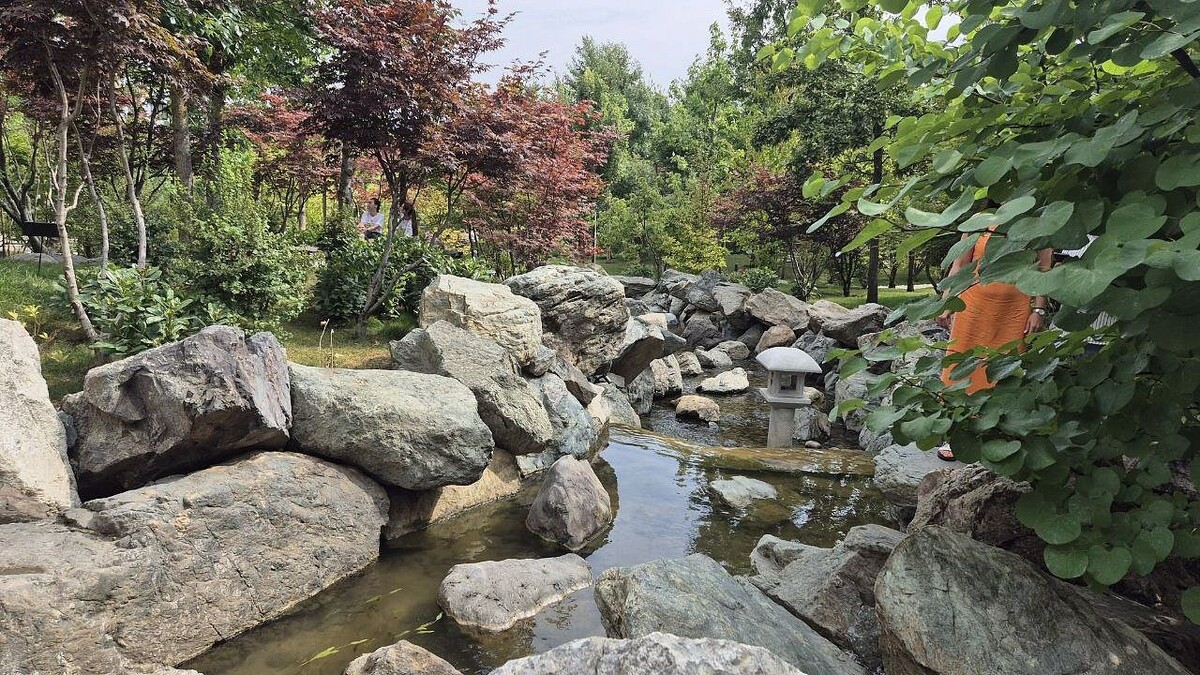    Фото: телеканал «Краснодар»