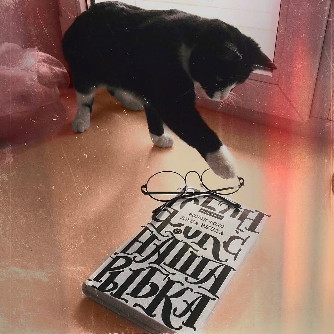 Рецензия от 13 апреля 2018г