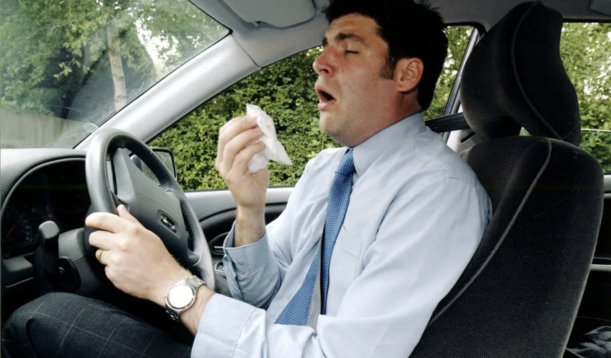 Изображение взято с сервиса Яндекс.Картинки