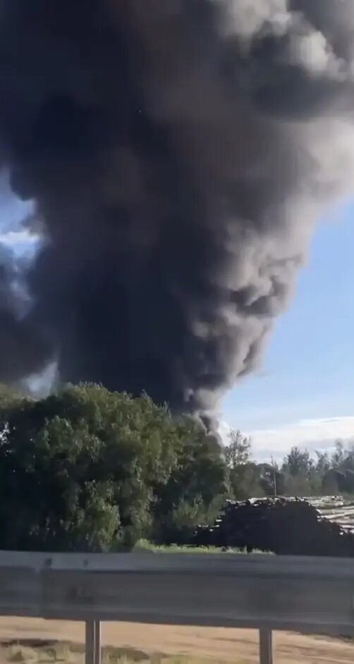    Фото: скриншот из видео в телеграм-канале «Петербург с огоньком»