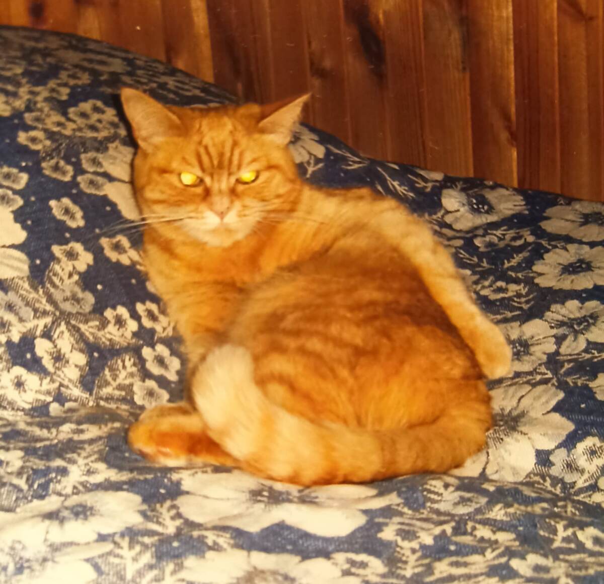 На лицо суровая, добрая внутри)) 