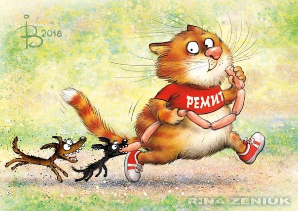 очаровательные коты Рины Зенюк