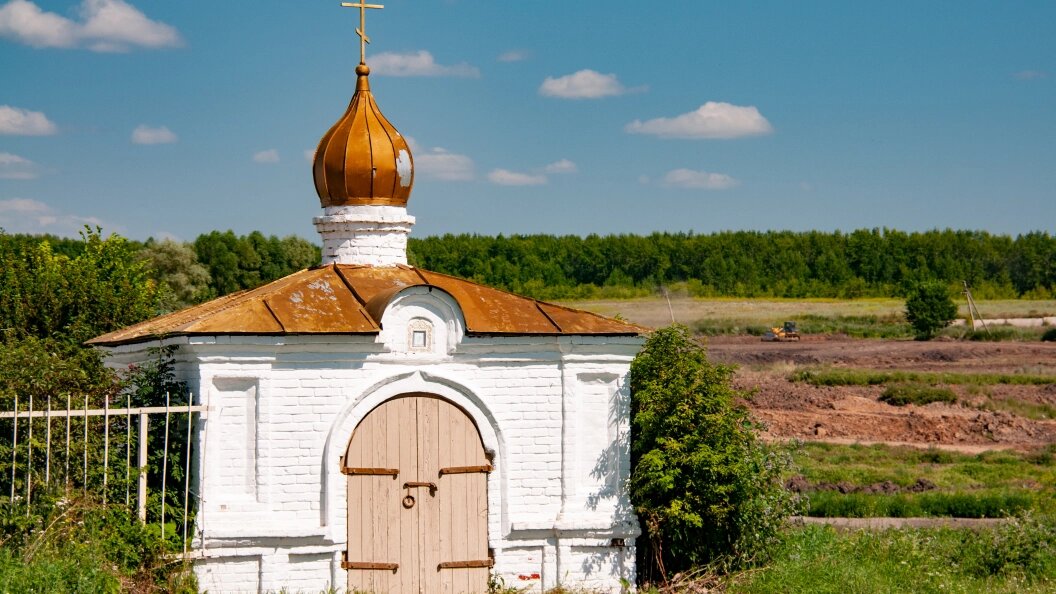    Фото: Svetlana Vozmilova/Globallookpress