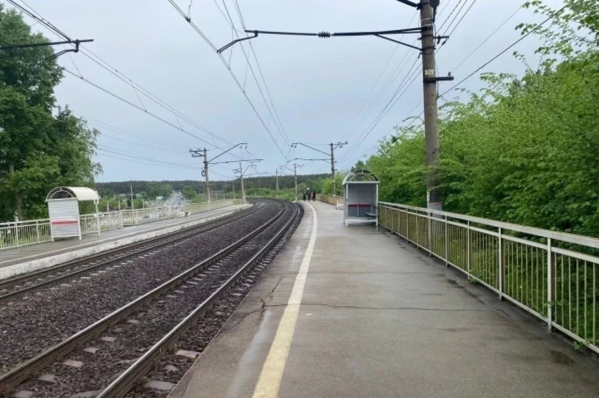    Новосибирцев на «Технопром-2025» отвезут специальные электрички