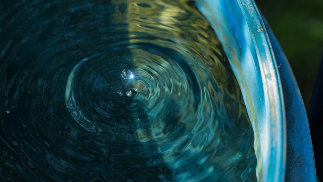    Andrey Titov/Globallookpress