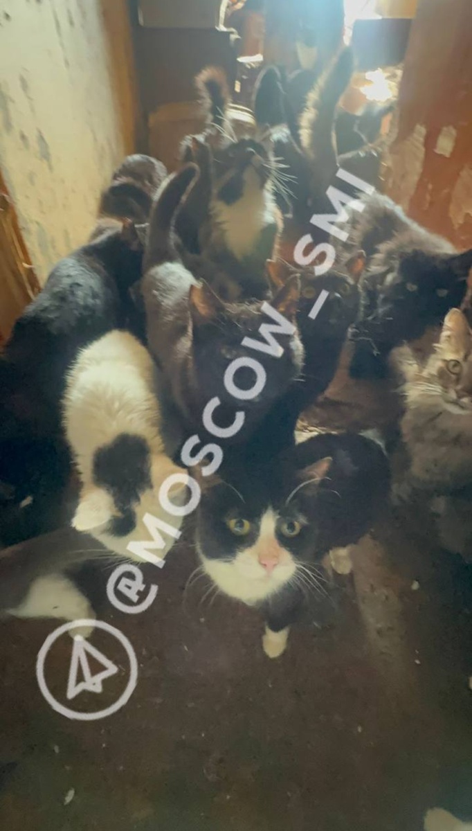 Фото из телеграм канала