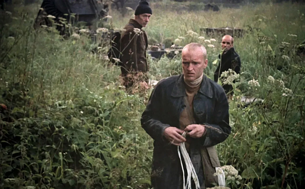 Кадр из фильма