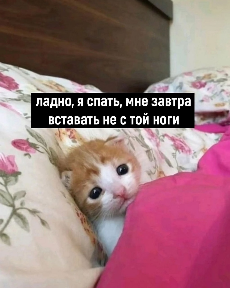 Подпишись, дальше интересней))