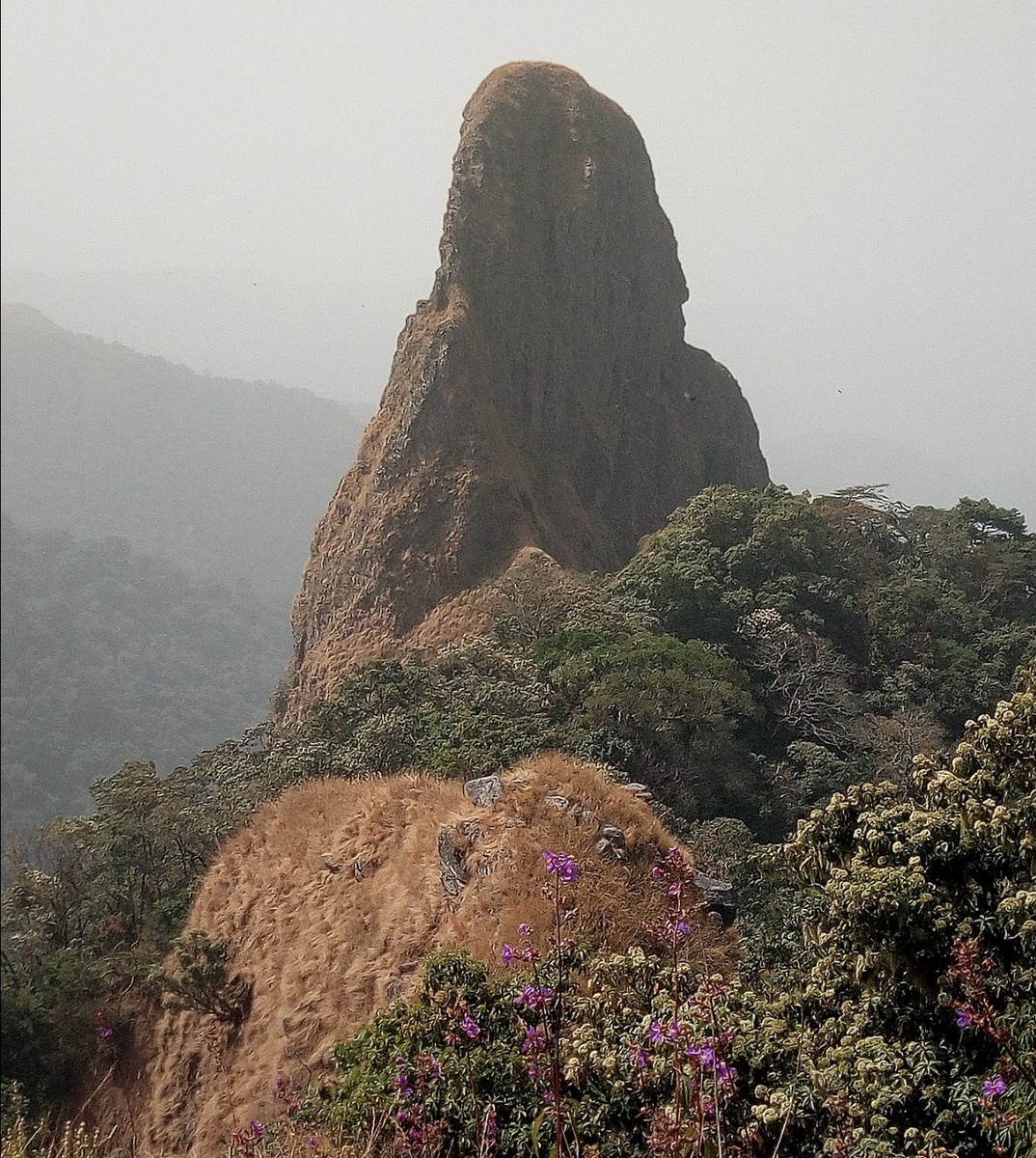 Фото взято я Яндекс.Картинки