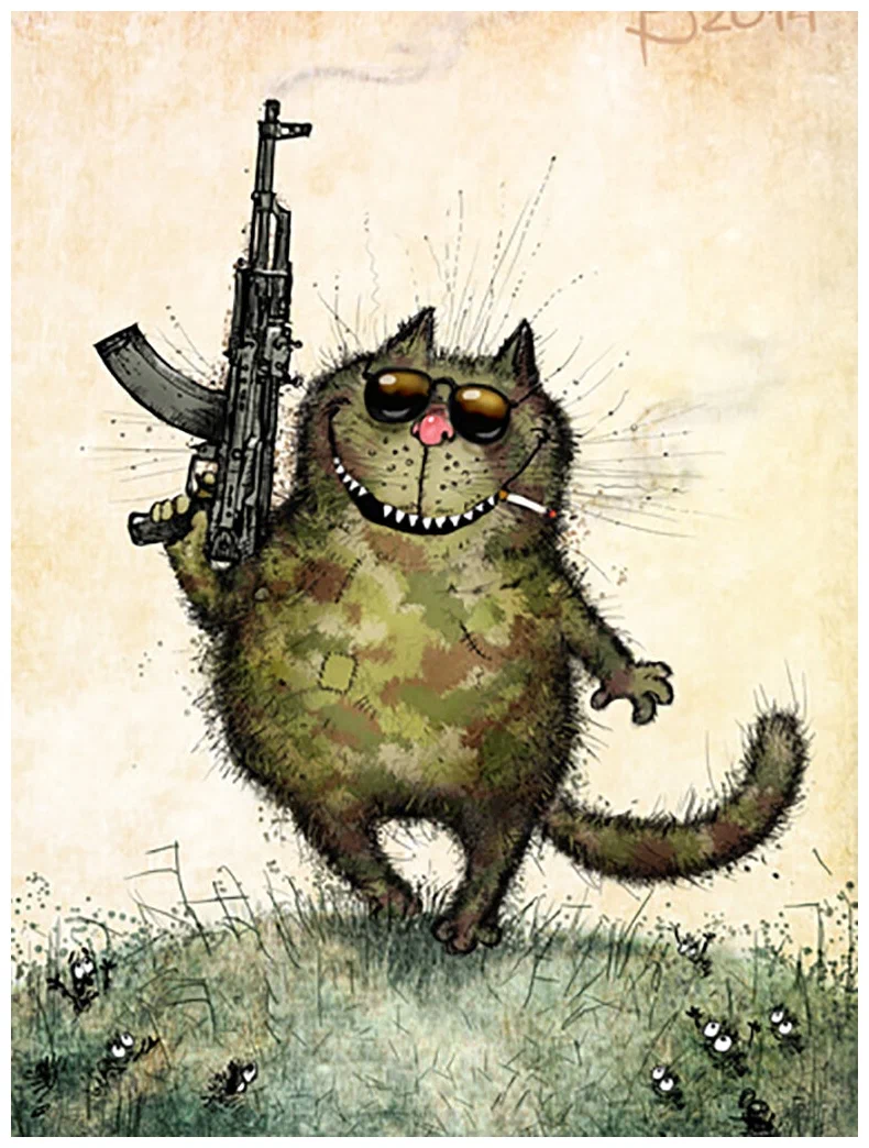 котик Милитари