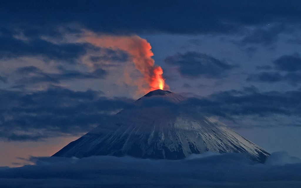    Фото © Telegram / ИВиС ДВО РАН