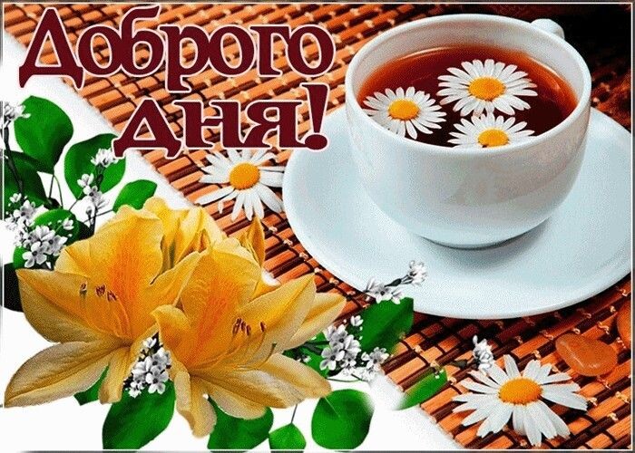 Из интернета для хорошего настроения 🫶🏻💐