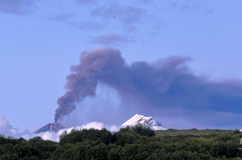 МЧС России по Камчатскому краю