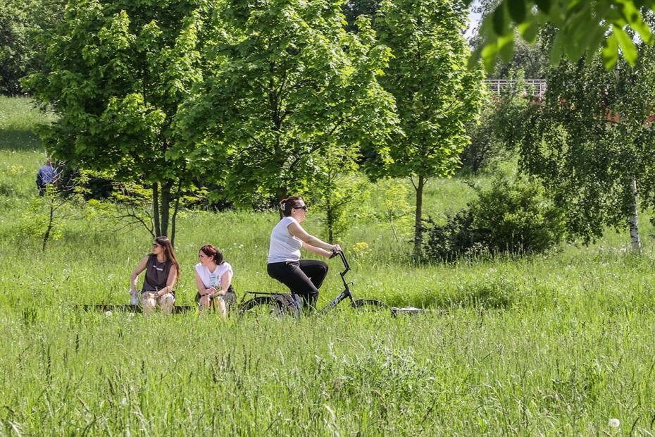    Сергей Булкин/NEWS.ru