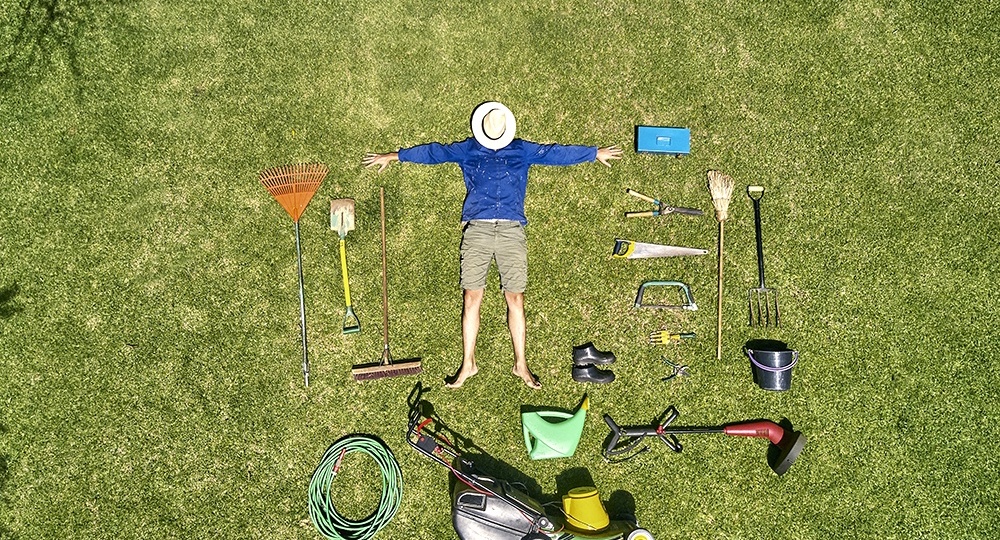 С 1 сентября у владельцев заброшенных участков могут отобрать землю