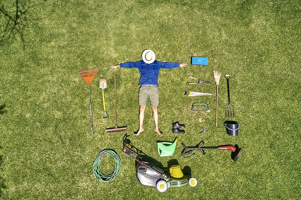    Добросовестных владельцев не накажут, массовых кампаний по изъятию земель не планируется. / GettyImages